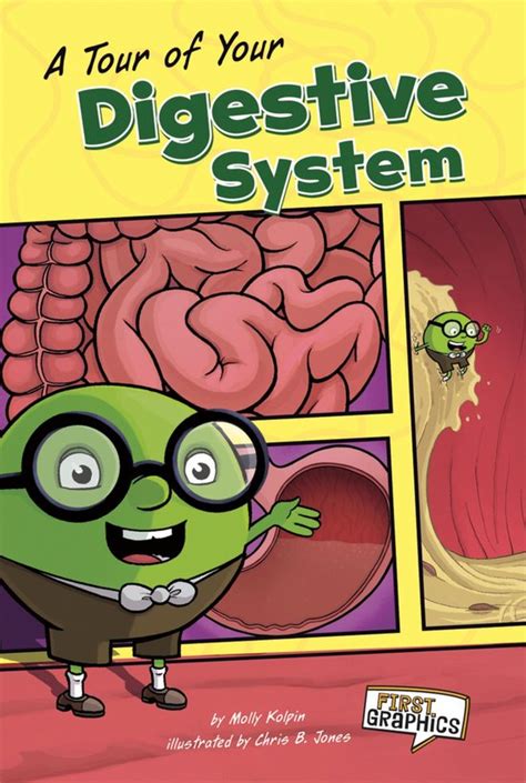 a tour of your digestive system first graphics body systems Reader